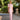 Vestido largo rosa para madrina o invitada