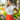 FALDA JAMAICA - Silvia Navarro