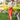 FALDA JAMAICA - Silvia Navarro