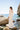 GINA CARCASA BRIDAL - Silvia Navarro