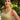 GINEVRA - Silvia Navarro